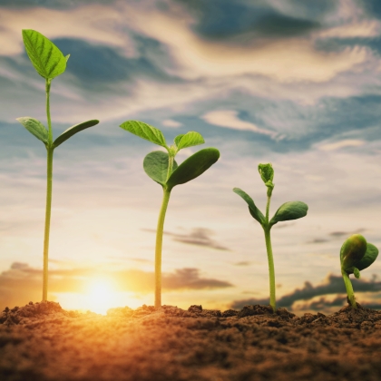 İzmir Agroexpo Tarım Fuarı